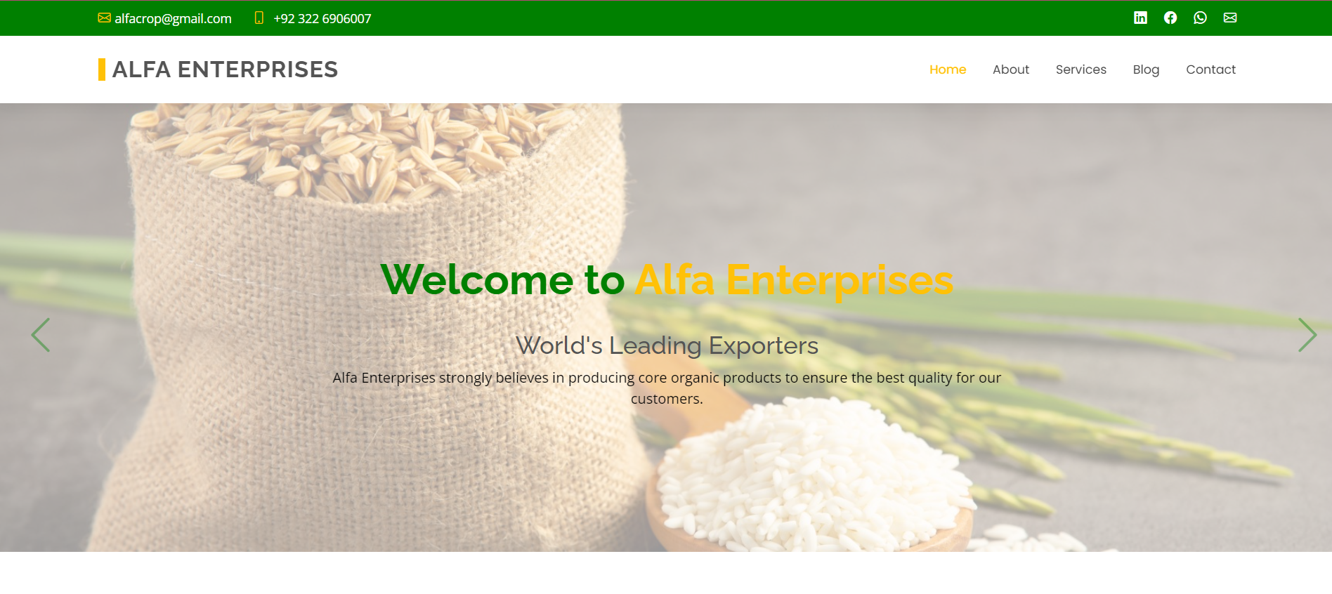 Alfa Enterprises website screenshot